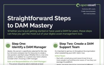 steps-to-DAM-mastery